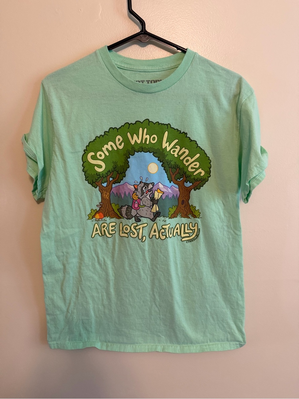 Hot Topic Mint Green "Some Who Wander Are Lost, Actually" Graphic Tee